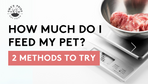 How Much Do I Feed My Pet? How To Guide