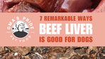 7 Remarkable Ways Beef Liver Is Good For Dogs