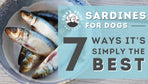 Sardines For Dogs? 7 Ways It’s Simply The Best
