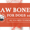 Raw Bones for Dogs 101: All You Need to Know