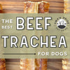 The Best Beef Trachea for Dogs