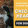 Everything You Need to Know: Chicken Hearts for Dogs