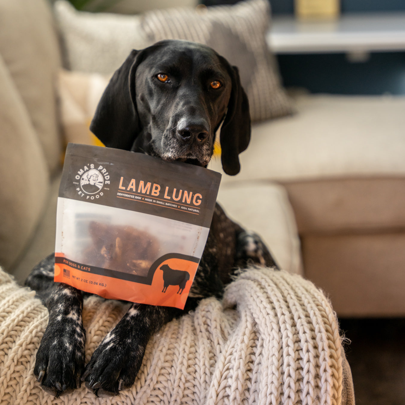 Lamb Lung