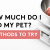 How Much Do I Feed My Pet? How To Guide