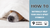 Dog nose sticking out of white blanket next to this article's title.