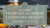 All About Traditional Chinese Veterinary Medicine