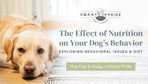 The Effect of Nutrition on Your Dog’s Behavior