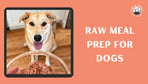 Raw Meal Prep for Dogs