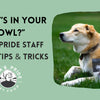“What’s in your bowl?” Oma’s Pride Staff Shares Tips & Tricks