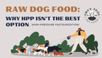 Raw Dog Food: Why HPP Isn’t the Best Option (High-Pressure Pasteurization)