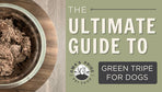 The Ultimate Guide to Green Tripe for Dogs
