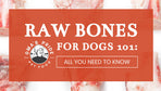 Raw Bones for Dogs 101: All You Need to Know