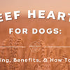 Beef Hearts for Dogs: Sourcing, Benefits, & How to Feed