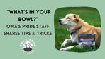 “What’s in your bowl?” Oma’s Pride Staff Shares Tips & Tricks