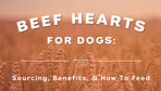 Beef Hearts for Dogs: Sourcing, Benefits, & How to Feed