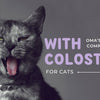 7 Amazing Benefits of Colostrum for Cats to Know