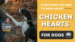 Everything You Need to Know: Chicken Hearts for Dogs