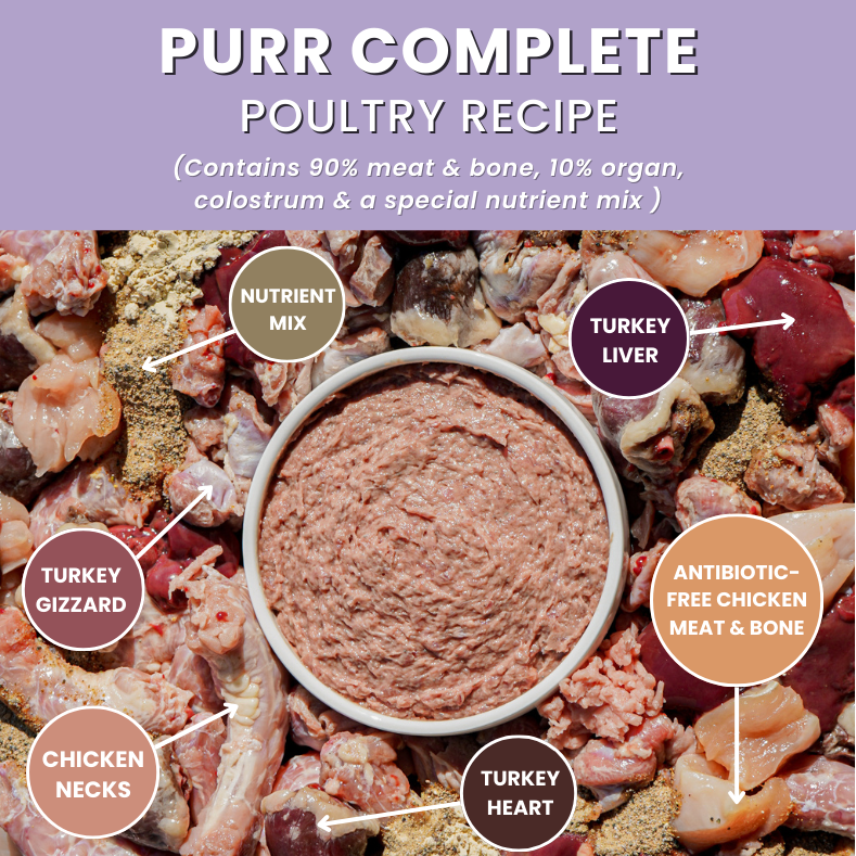Purr Complete Cat Recipe (Portion Packs)