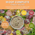 Woof Complete Dog Recipes (Portion Packs)