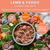 Dog Signature Mixes