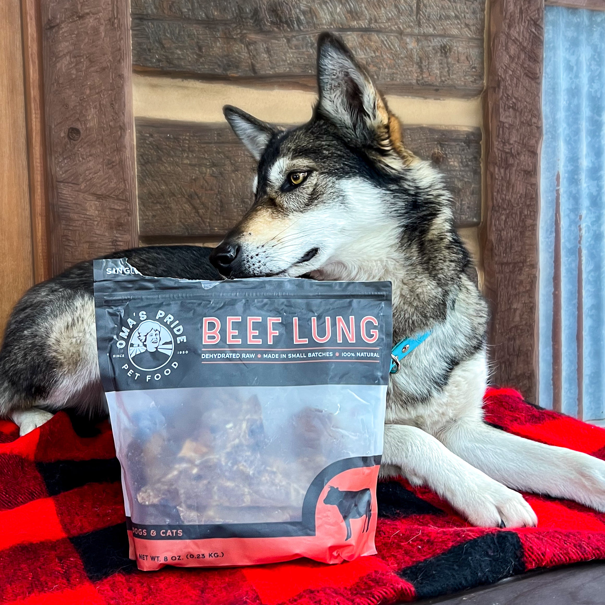 Beef Lung